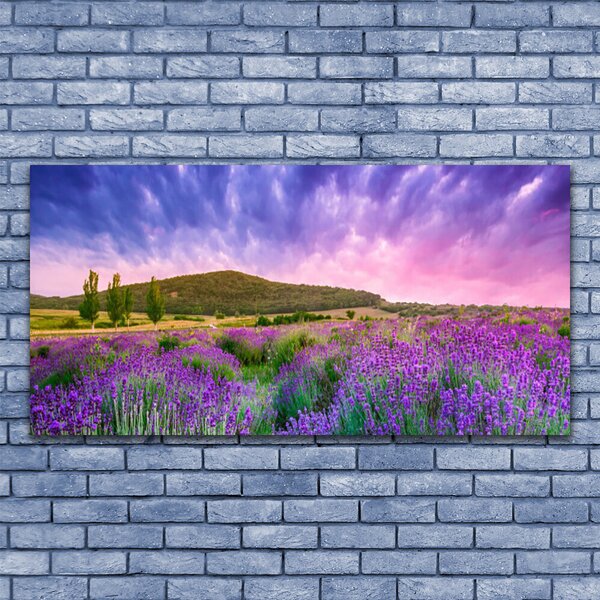 Tablou pe panza canvas Meadow Munții Flori Natura Verde Violet Albastru Roz