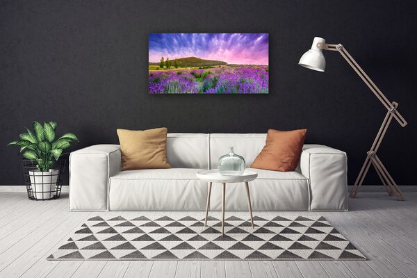 Tablou pe panza canvas Meadow Munții Flori Natura Verde Violet Albastru Roz
