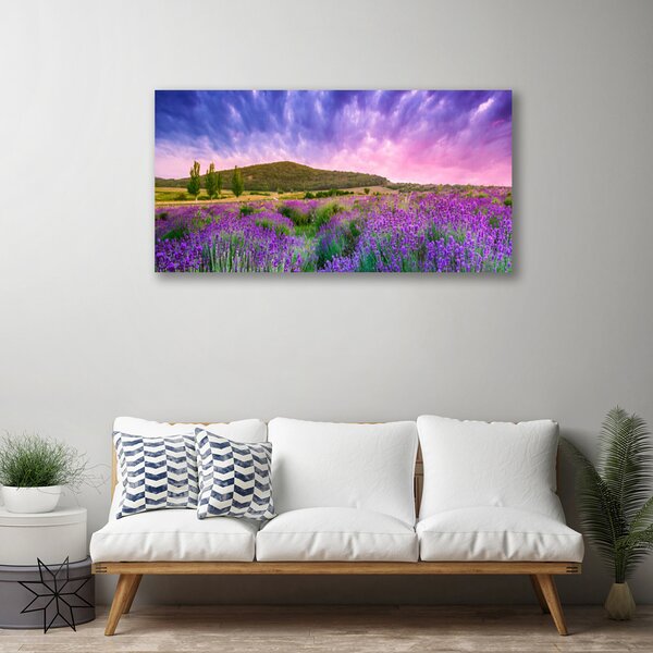 Tablou pe panza canvas Meadow Munții Flori Natura Verde Violet Albastru Roz