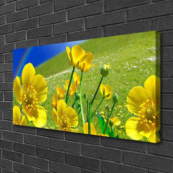 Tablou pe panza canvas Meadow Flori Rainbow Natura Galben Albastru Verde