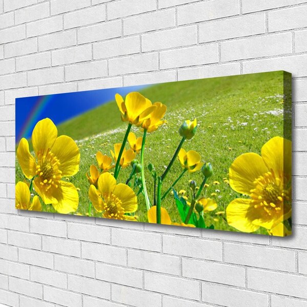 Tablou pe panza canvas Meadow Flori Rainbow Natura Galben Albastru Verde