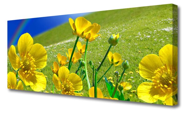 Tablou pe panza canvas Meadow Flori Rainbow Natura Galben Albastru Verde