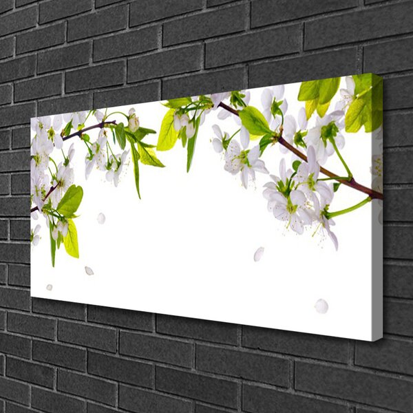 Tablou pe panza canvas Petale Natura Alb Verde