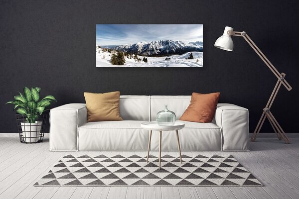 Tablou pe panza canvas Munții Peisaj Alb Verde Gri
