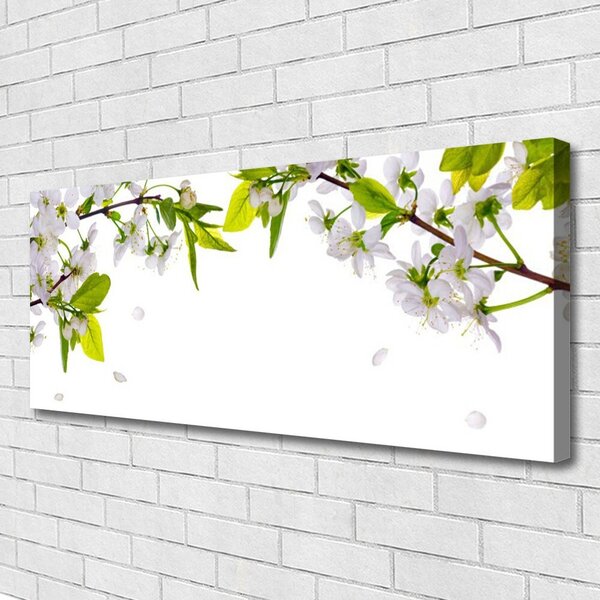 Tablou pe panza canvas Petale Natura Alb Verde