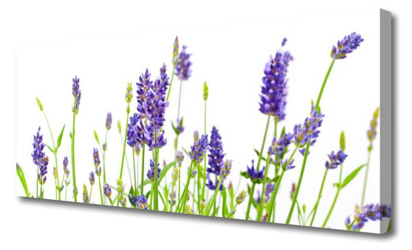 Tablou pe panza canvas Flori Floral Verde Violet Alb
