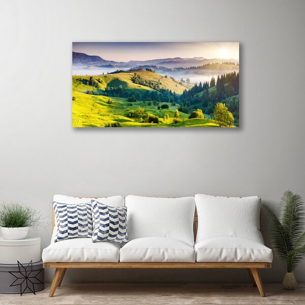 Tablou pe panza canvas Mountain Câmp Ceață Natura Verde Alb