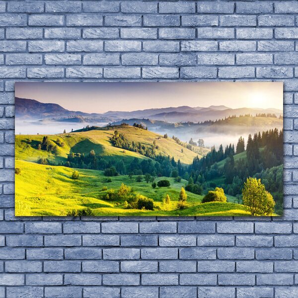 Tablou pe panza canvas Mountain Câmp Ceață Natura Verde Alb