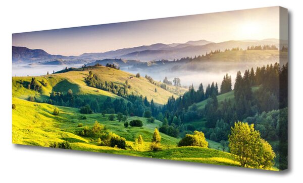 Tablou pe panza canvas Mountain Câmp Ceață Natura Verde Alb