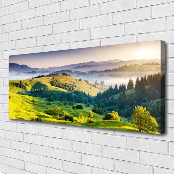 Tablou pe panza canvas Mountain Câmp Ceață Natura Verde Alb