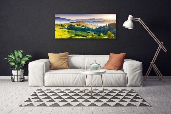 Tablou pe panza canvas Mountain Câmp Ceață Natura Verde Alb
