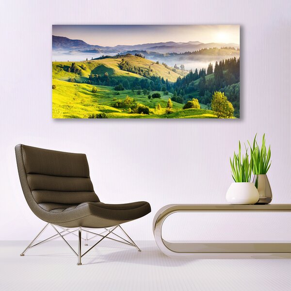 Tablou pe panza canvas Mountain Câmp Ceață Natura Verde Alb