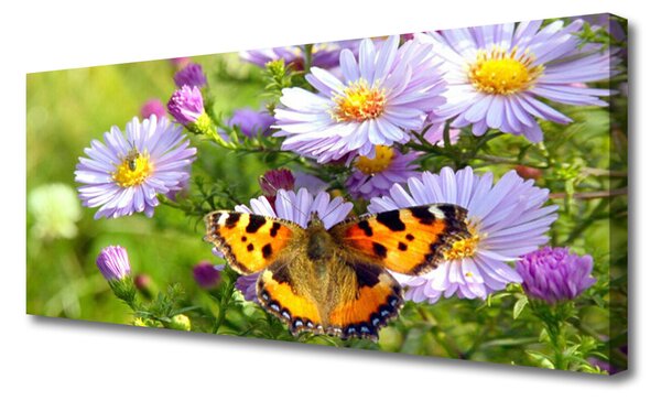 Tablou pe panza canvas Flori fluture Natura Portocaliu Violet Galben Verde