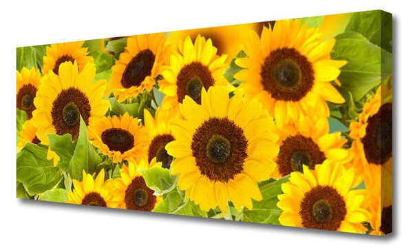 Tablou pe panza canvas Floarea soarelui Floral Galben Maro Verde