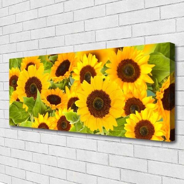 Tablou pe panza canvas Floarea soarelui Floral Galben Maro Verde