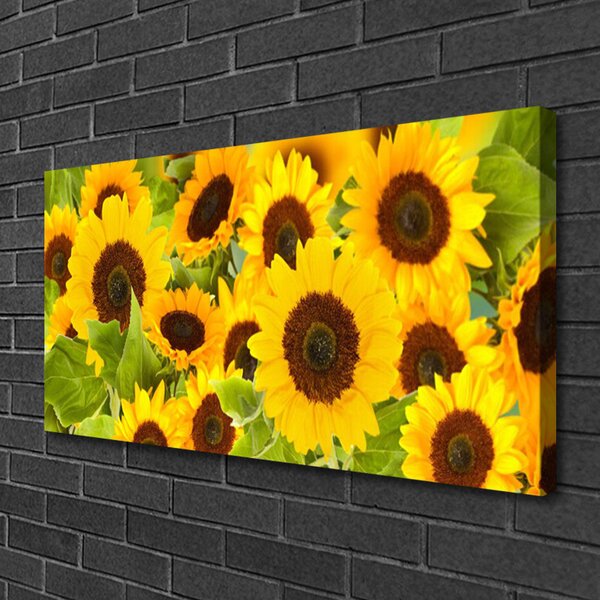 Tablou pe panza canvas Floarea soarelui Floral Galben Maro Verde