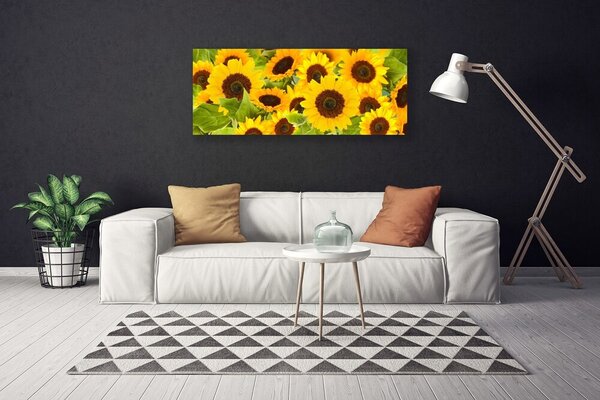 Tablou pe panza canvas Floarea soarelui Floral Galben Maro Verde