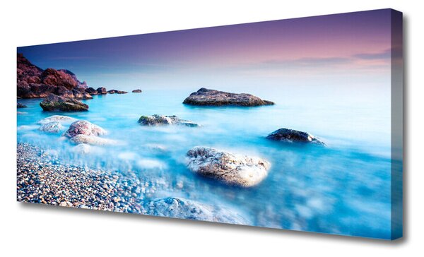 Tablou pe panza canvas Sea Stones Beach Peisaj Albastru Gri Roz