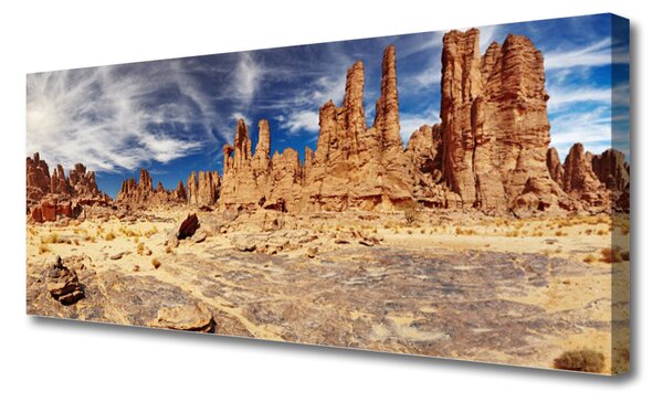 Tablou pe panza canvas Desert Peisaj Maro Alb Albastru