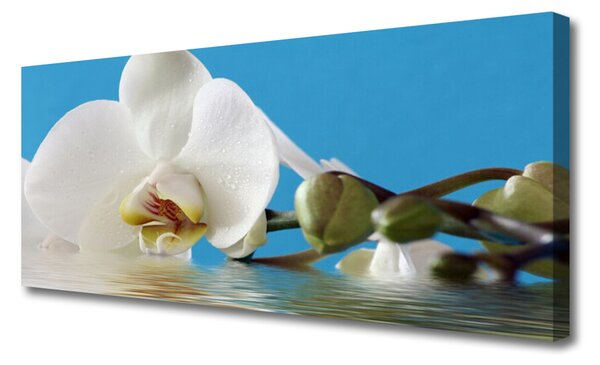 Tablou pe panza canvas Flower Floral Alb Verde Albastru