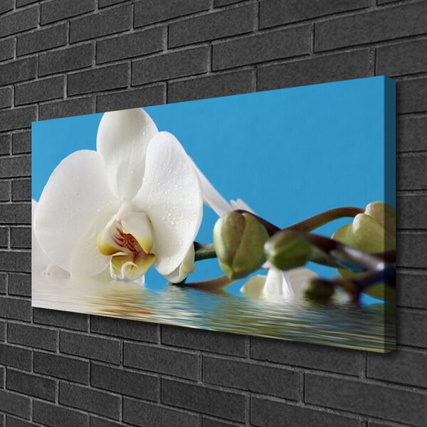 Tablou pe panza canvas Flower Floral Alb Verde Albastru