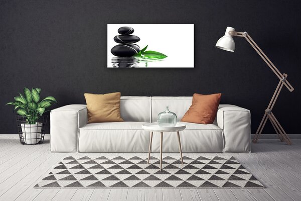 Tablou pe panza canvas Pietre Frunze Art Apă Negru Verde Alb