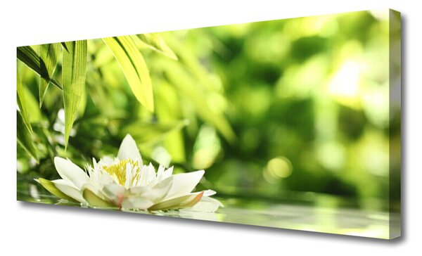 Tablou pe panza canvas Frunze de flori Floral Alb Verde Galben