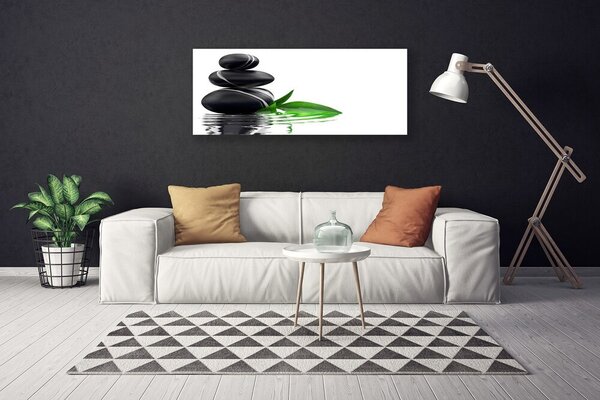 Tablou pe panza canvas Pietre Frunze Art Apă Negru Verde Alb