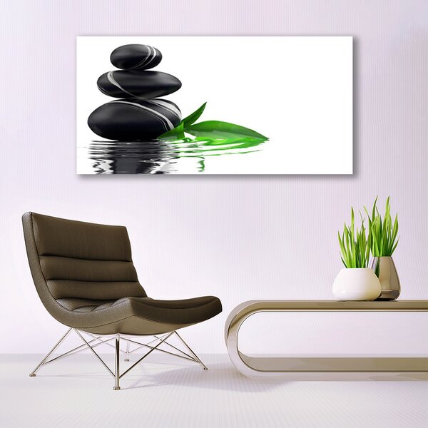Tablou pe panza canvas Pietre Frunze Art Apă Negru Verde Alb