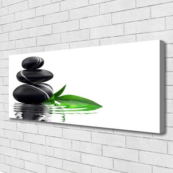 Tablou pe panza canvas Pietre Frunze Art Apă Negru Verde Alb