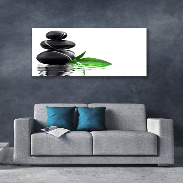 Tablou pe panza canvas Pietre Frunze Art Apă Negru Verde Alb