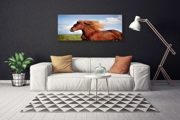 Tablou pe panza canvas Cal Animale Maro Albastru Verde