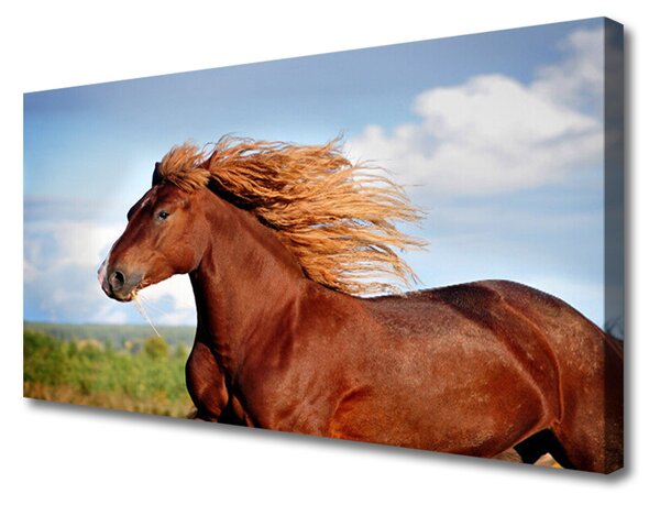 Tablou pe panza canvas Cal Animale Maro Albastru Verde
