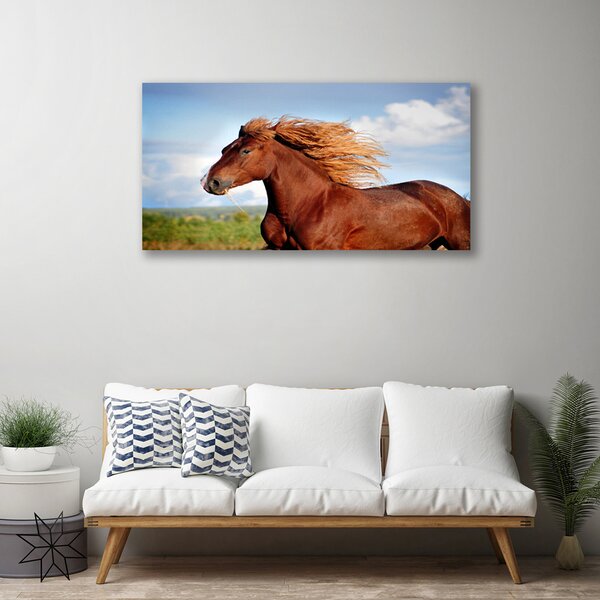 Tablou pe panza canvas Cal Animale Maro Albastru Verde
