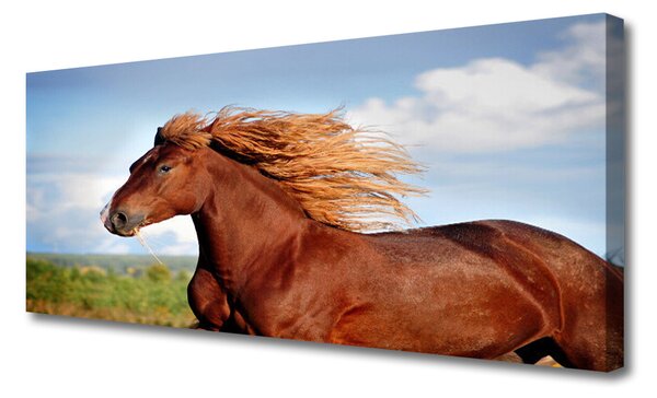 Tablou pe panza canvas Cal Animale Maro Albastru Verde