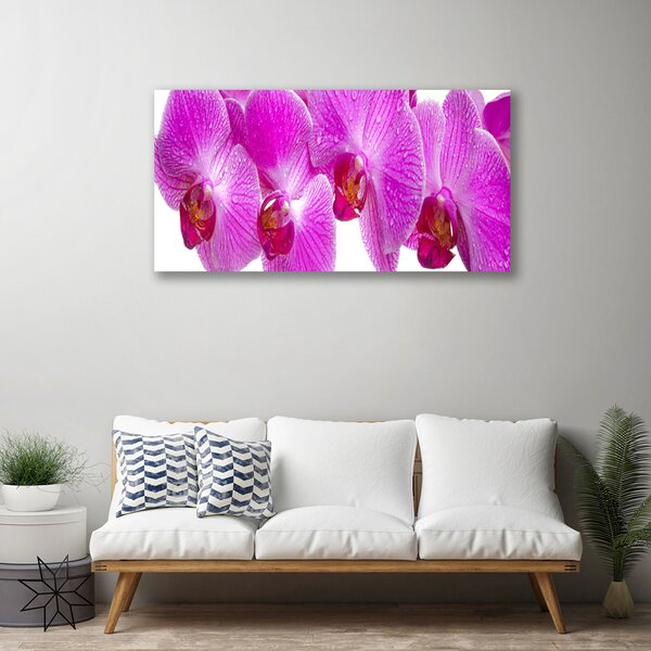 Tablou pe panza canvas Flori roz Floral