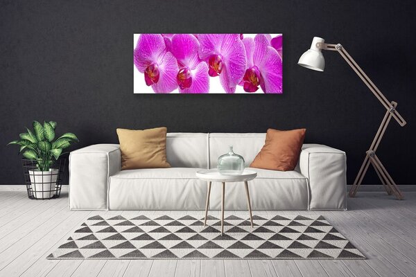 Tablou pe panza canvas Flori roz Floral