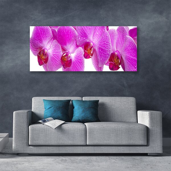 Tablou pe panza canvas Flori roz Floral