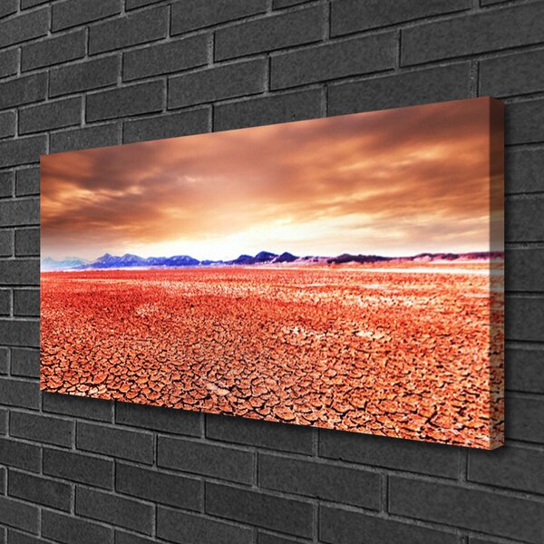 Tablou pe panza canvas Desert Peisaj Roșu Albastru