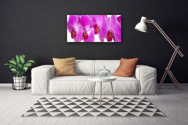Tablou pe panza canvas Flori roz Floral