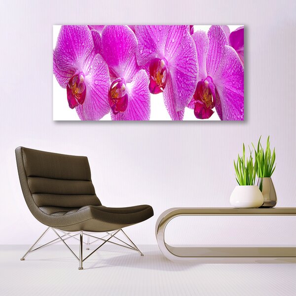 Tablou pe panza canvas Flori roz Floral
