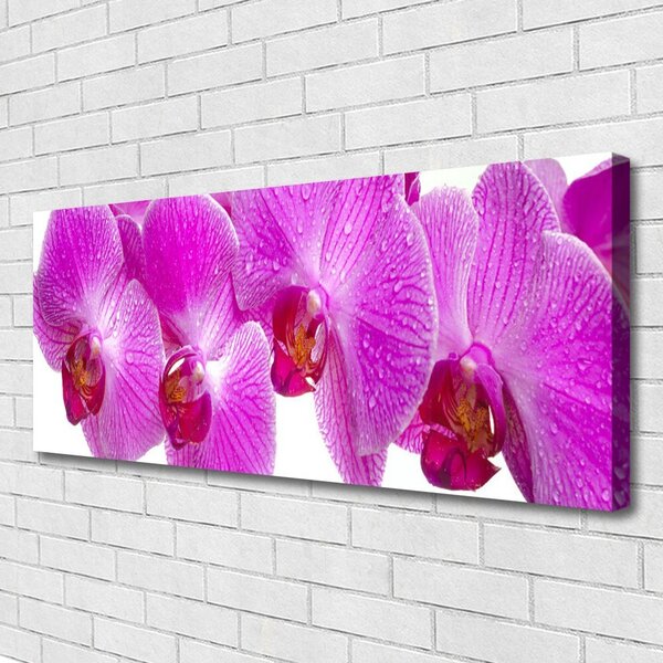 Tablou pe panza canvas Flori roz Floral