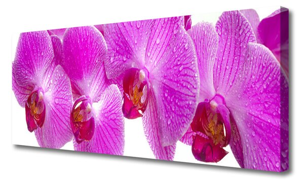 Tablou pe panza canvas Flori roz Floral