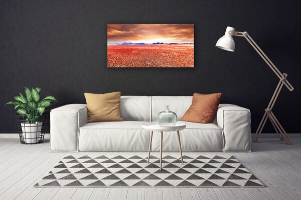 Tablou pe panza canvas Desert Peisaj Roșu Albastru