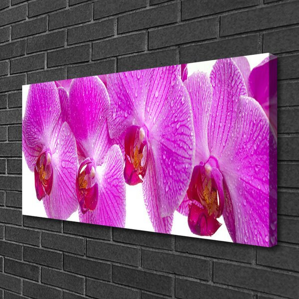 Tablou pe panza canvas Flori roz Floral