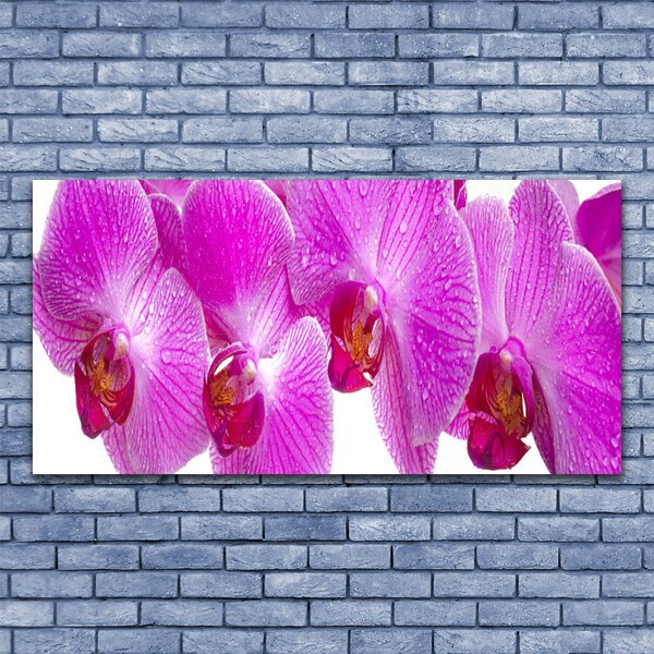 Tablou pe panza canvas Flori roz Floral