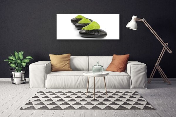 Tablou pe panza canvas Pietrele Arta Negru Verde Alb