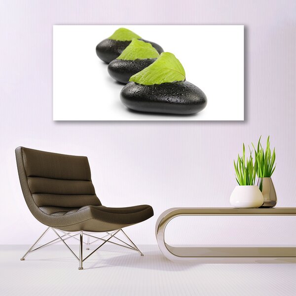 Tablou pe panza canvas Pietrele Arta Negru Verde Alb