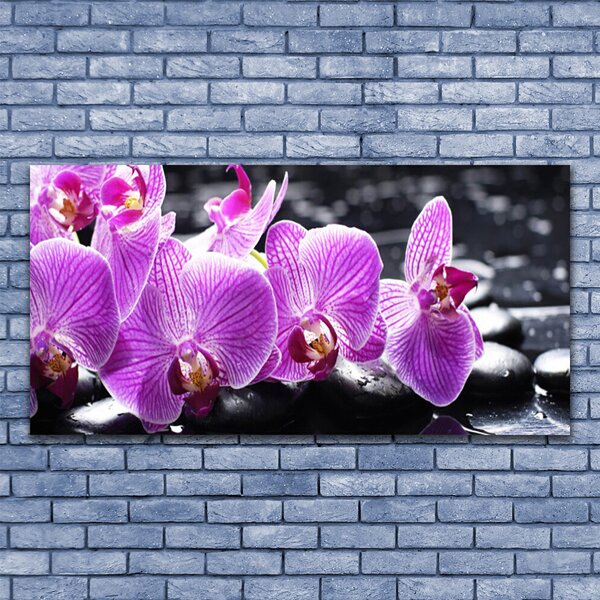 Tablou pe sticla Pietre florale flori violet negru