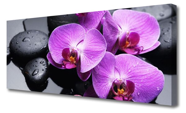 Tablou pe panza canvas Pietre florale flori violet negru